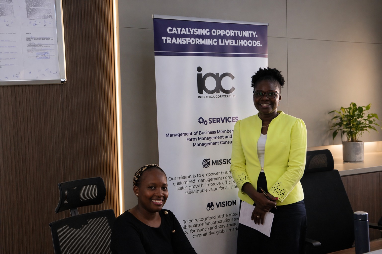 Modern African business architecture